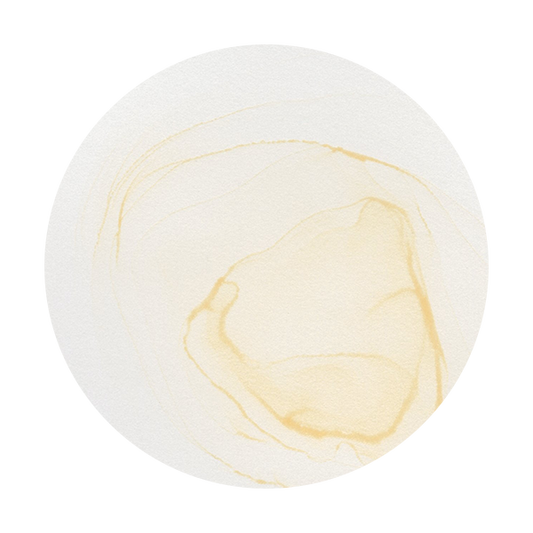 Copic Ink E0000