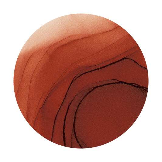 Copic Ink E09
