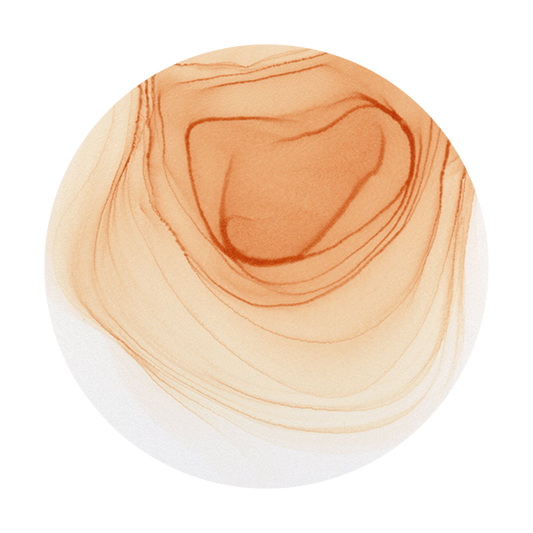 Copic Ink E11