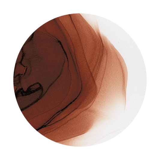 Copic Ink E18