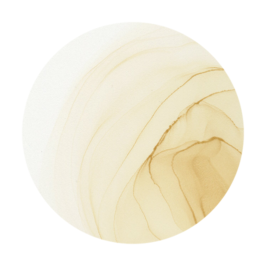 Copic Ink E41