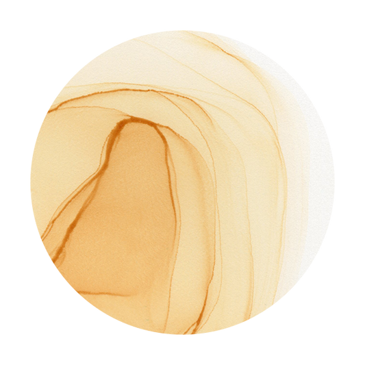 Copic Ink E53