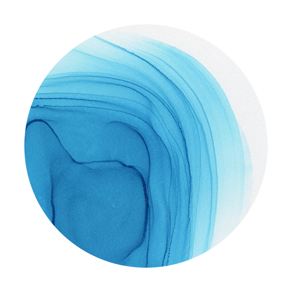 Copic Ink BG05