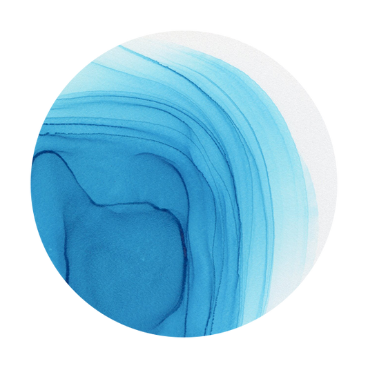 Copic Ink BG05