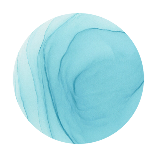 Copic Ink BG53