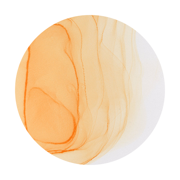 Copic Ink E01