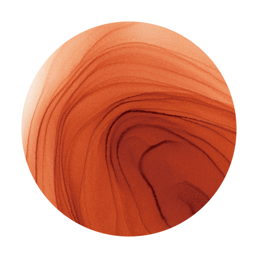 Copic Ink E08