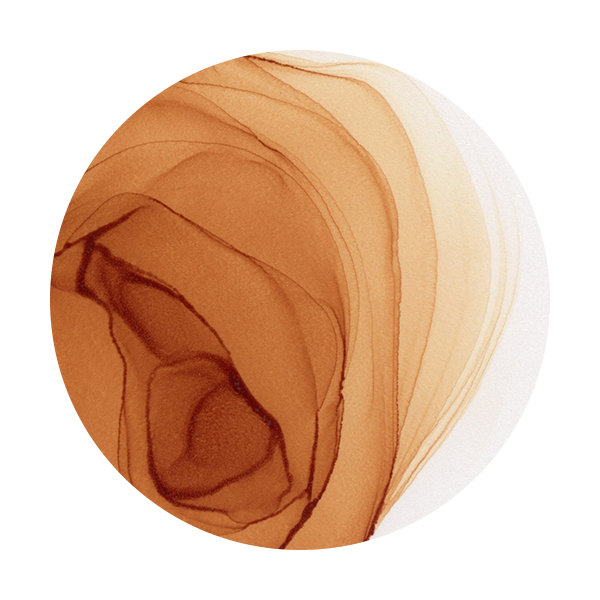 Copic Ink E15