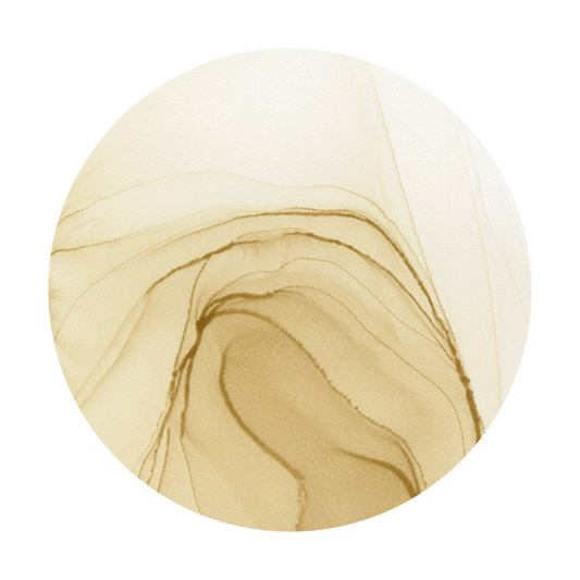 Copic Ink E42