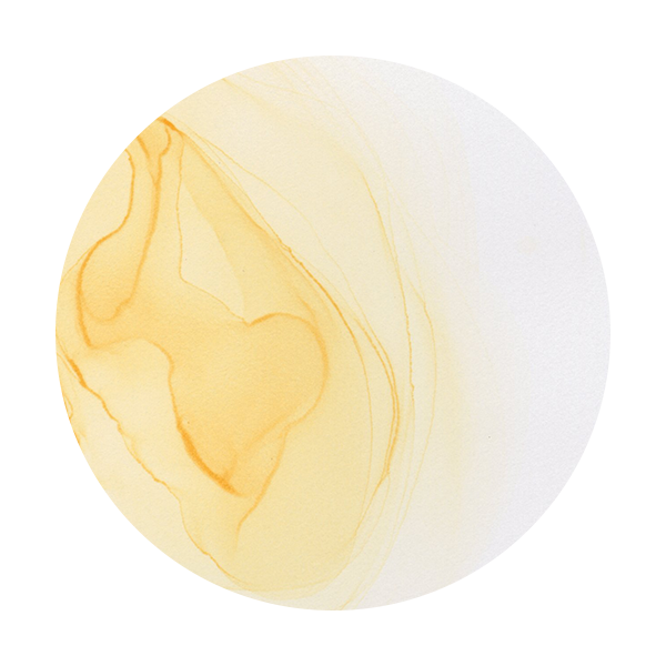 Copic Ink E51