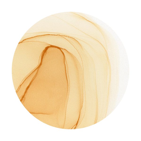 Copic Ink E53