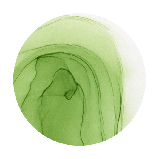 Copic Ink G24