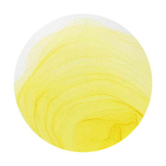Copic Ink Y13