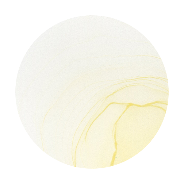 Copic Ink YR30